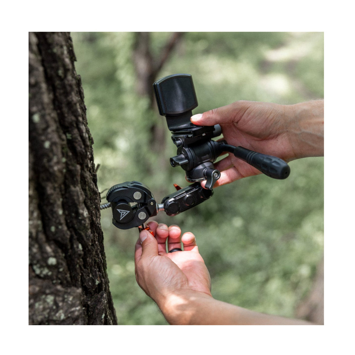 Painted Arrow Micro Elite Kit with Micro Arm, MAG-PRO Head, Fluid Head, and Tree-Peg Adapter