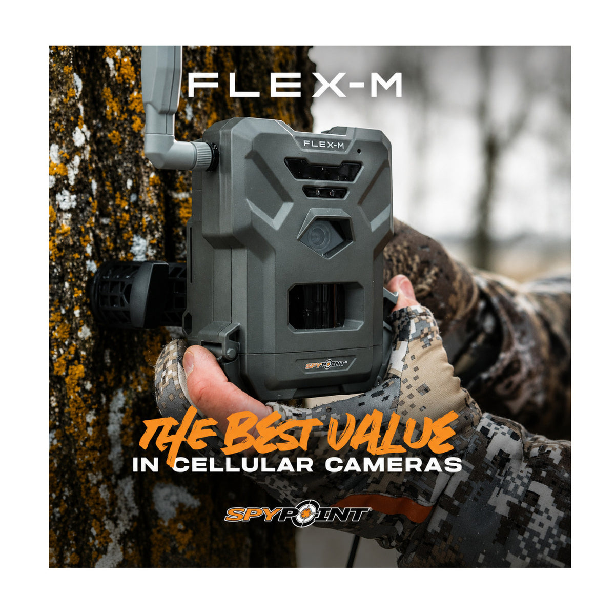 Spypoint Flex-M Trail Camera 2-Pack with Solar Panels and Card Reader (5 Items)