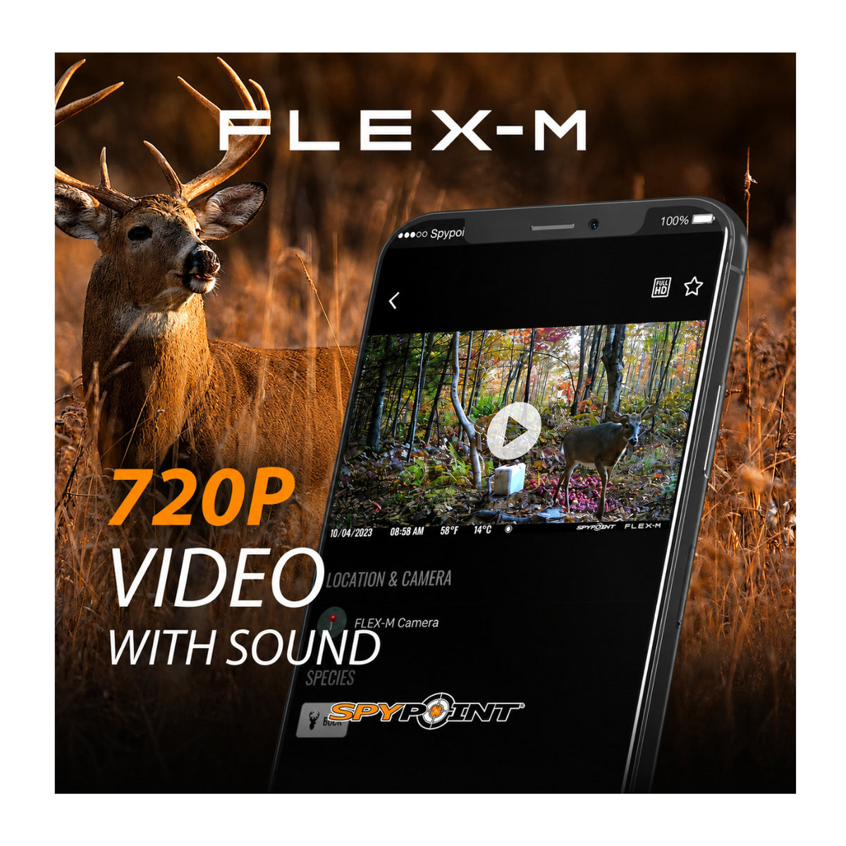Spypoint Flex-M Trail Camera 2-Pack with Solar Panels and Card Reader (5 Items)