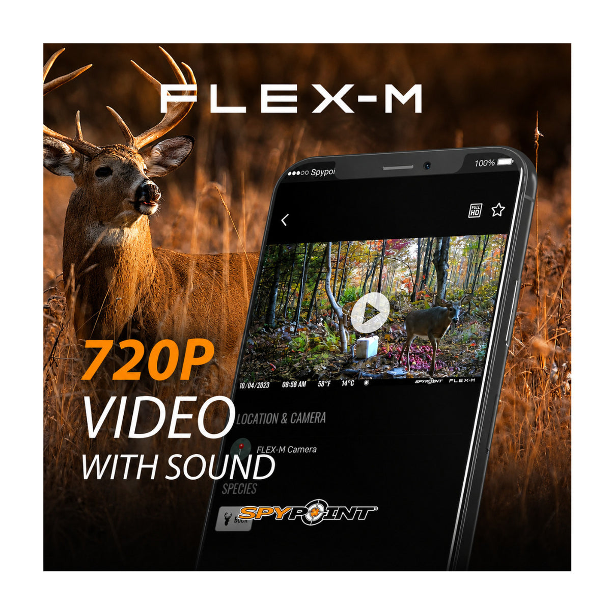 Spypoint Flex-M Trail Camera 6-Pack with Solar Panels and Card Reader (13 Items)