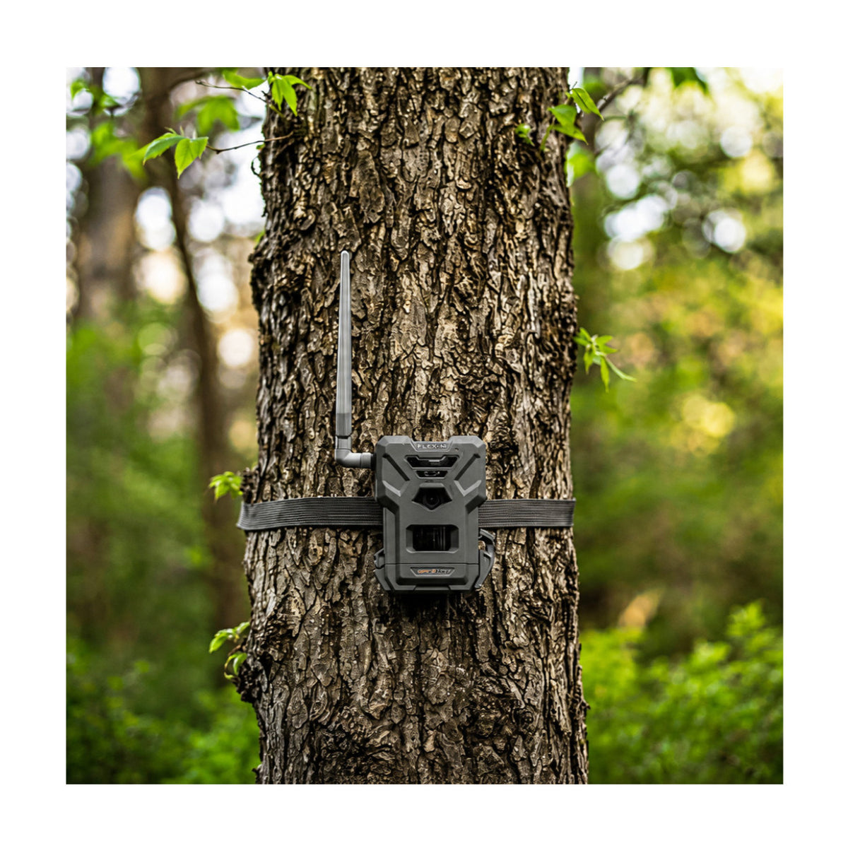 Spypoint Flex-M Trail Camera 6-Pack with Solar Panels and Card Reader (13 Items)