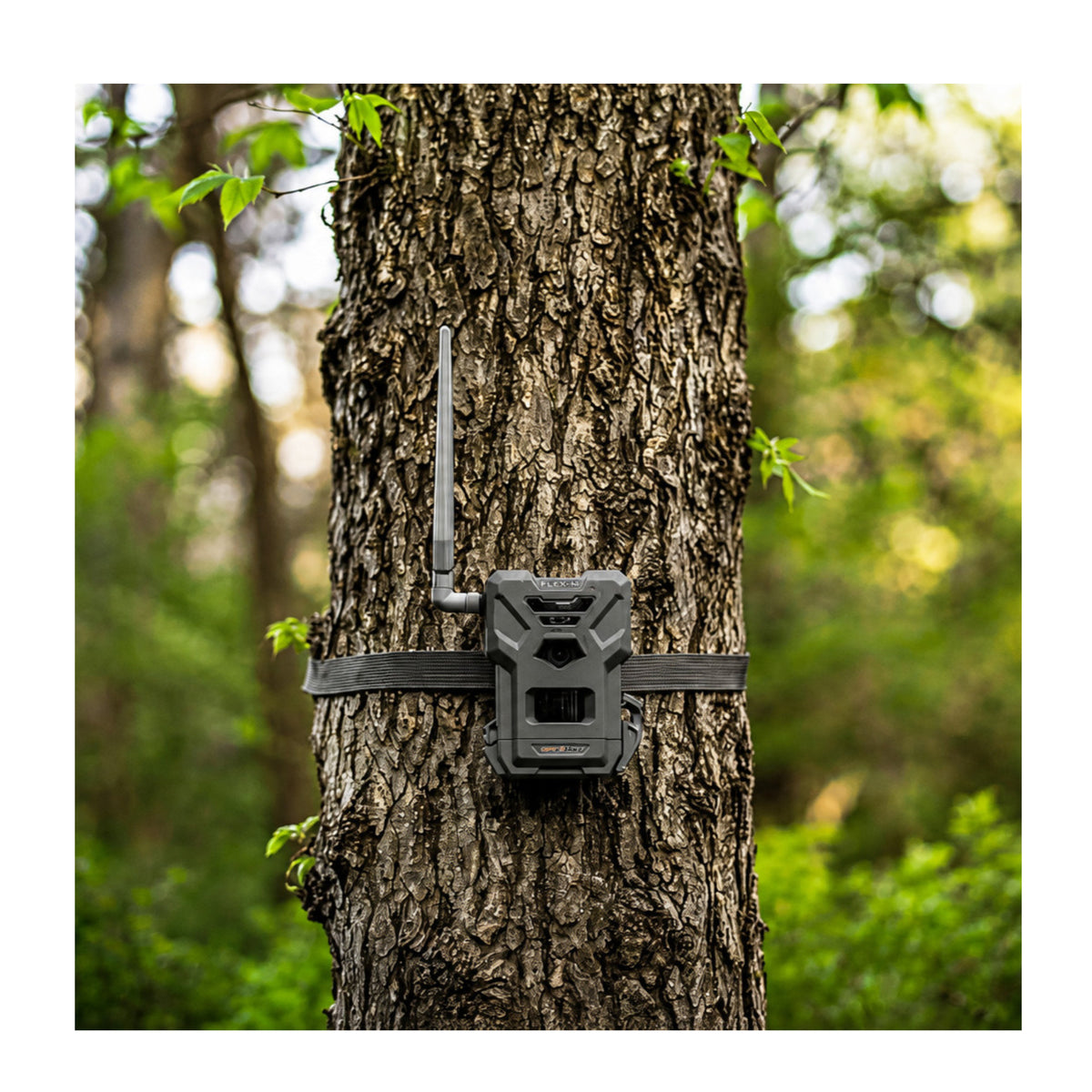 Spypoint Flex-M Trail Camera 10-Pack with Solar Panels and Reader (21 Items)