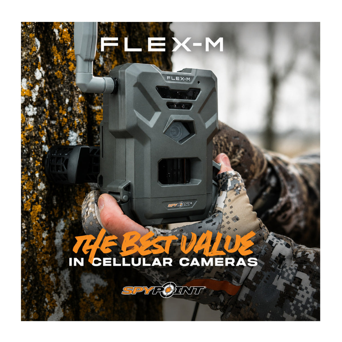 Spypoint Flex-M Trail Camera 2-Pack with 5W Solar Panels and Reader (5 Items)