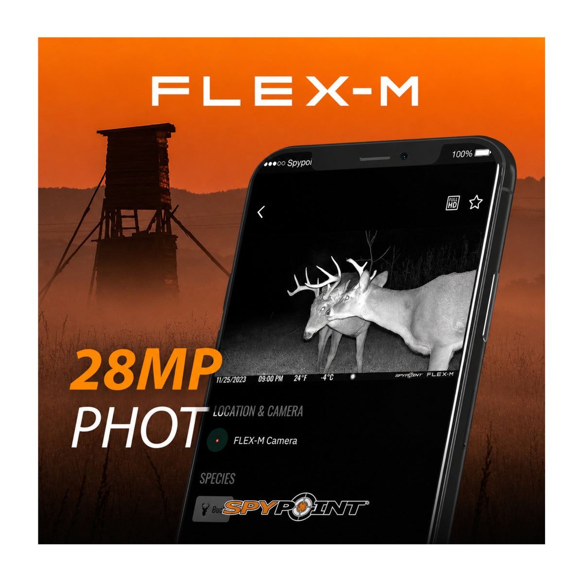 Spypoint Flex-M Trail Camera 2-Pack with 5W Solar Panels and Reader (5 Items)