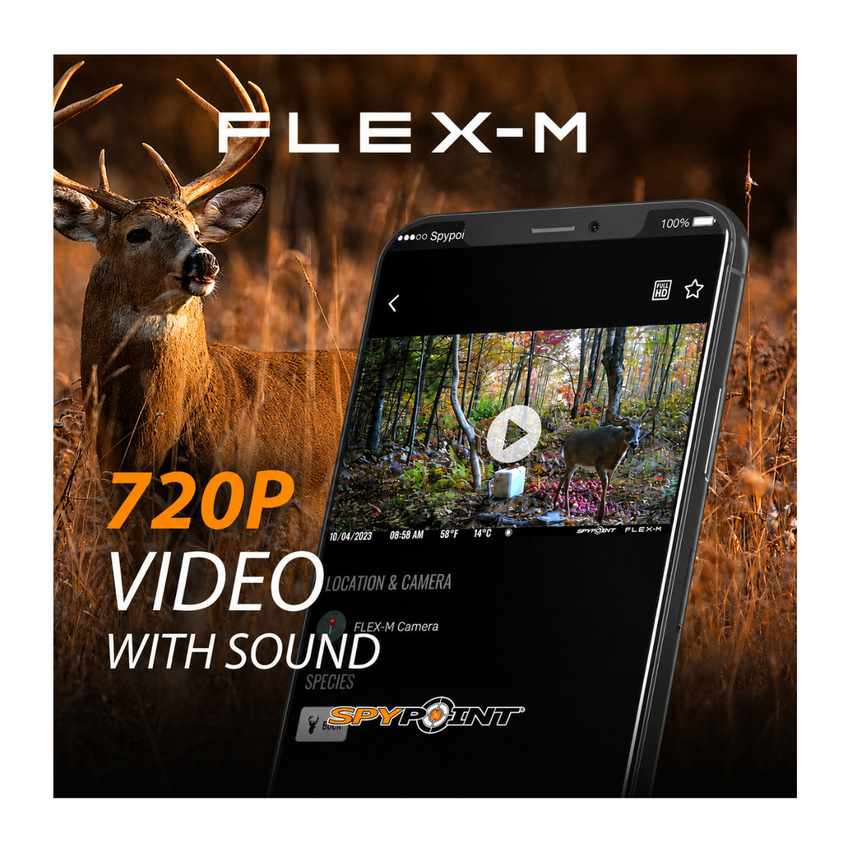 Spypoint Flex-M Trail Camera 2-Pack with 5W Solar Panels and Reader (5 Items)