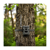 Spypoint Flex-M Trail Camera 2-Pack with 5W Solar Panels and Reader (5 Items)