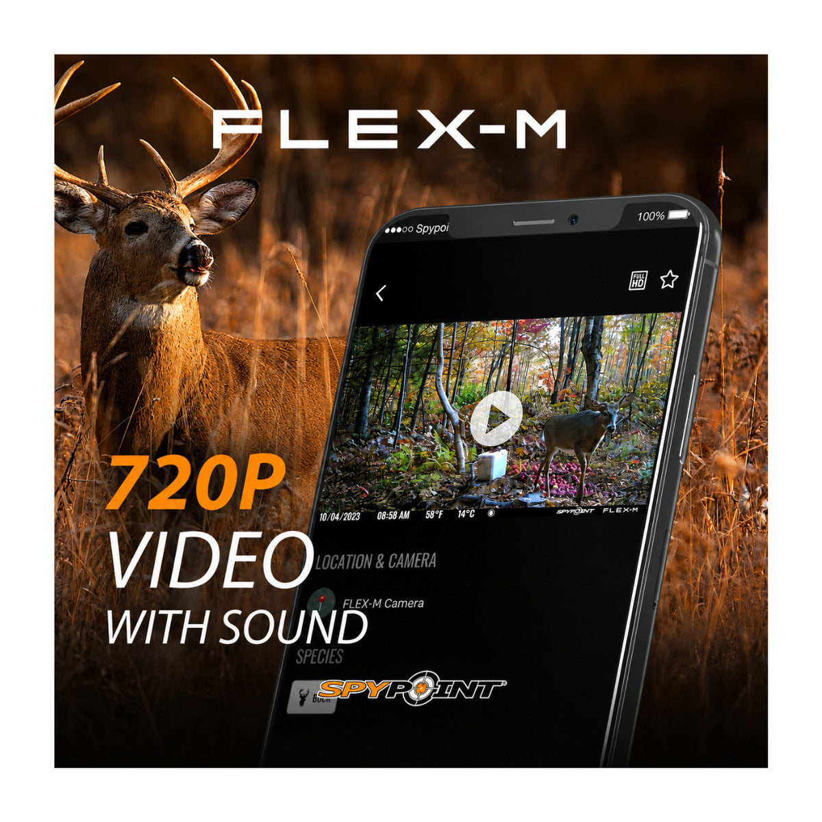 Spypoint Flex-M Trail Camera 4-Pack with 5W Solar Panels and Reader (9 Items)