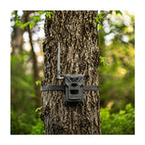 Spypoint Flex-M Trail Camera 4-Pack with 5W Solar Panels and Reader (9 Items)