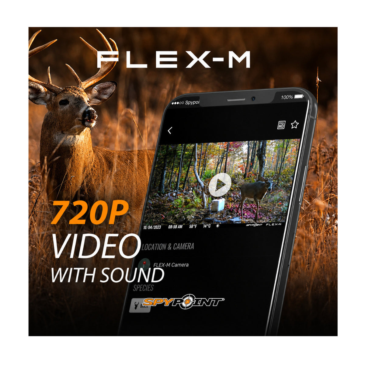 Spypoint Flex-M Trail Camera 6-Pack with 5W Solar Panels and Reader (13 Items)