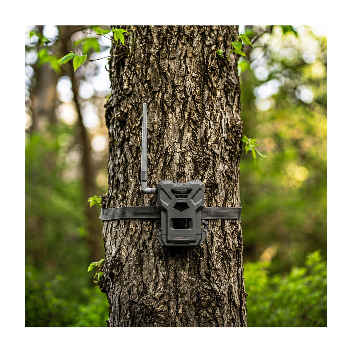 Spypoint Flex-M Trail Camera 6-Pack with 5W Solar Panels and Reader (13 Items)