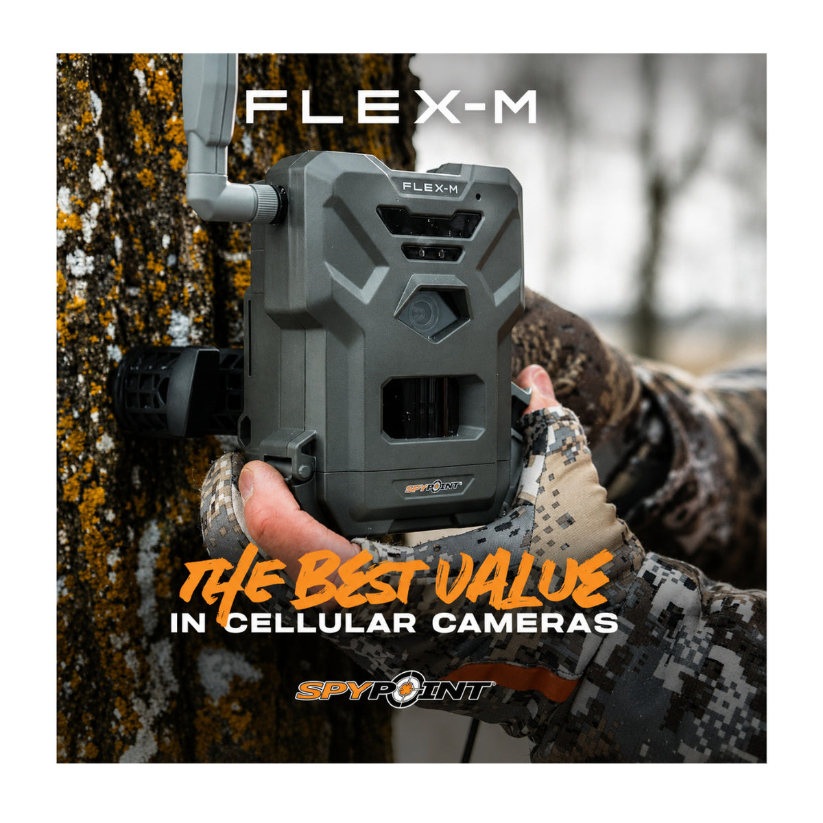 Spypoint Flex-M Trail Camera 10-Pack with 5W Solar Panels and Reader (21 Items)