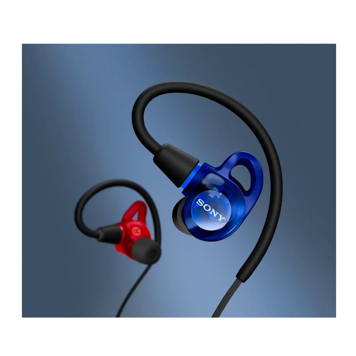 Sony IER-M500 Wired In-Ear Monitor Earphones (Red and Blue)
