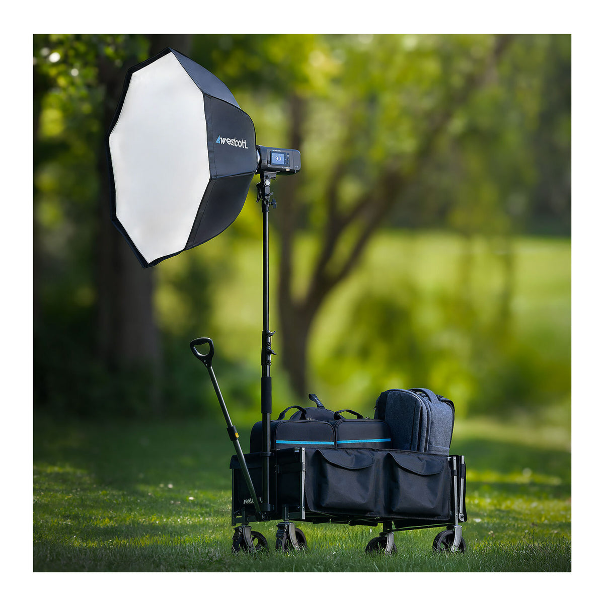 Westcott Photography Wagon with Removable Pole
