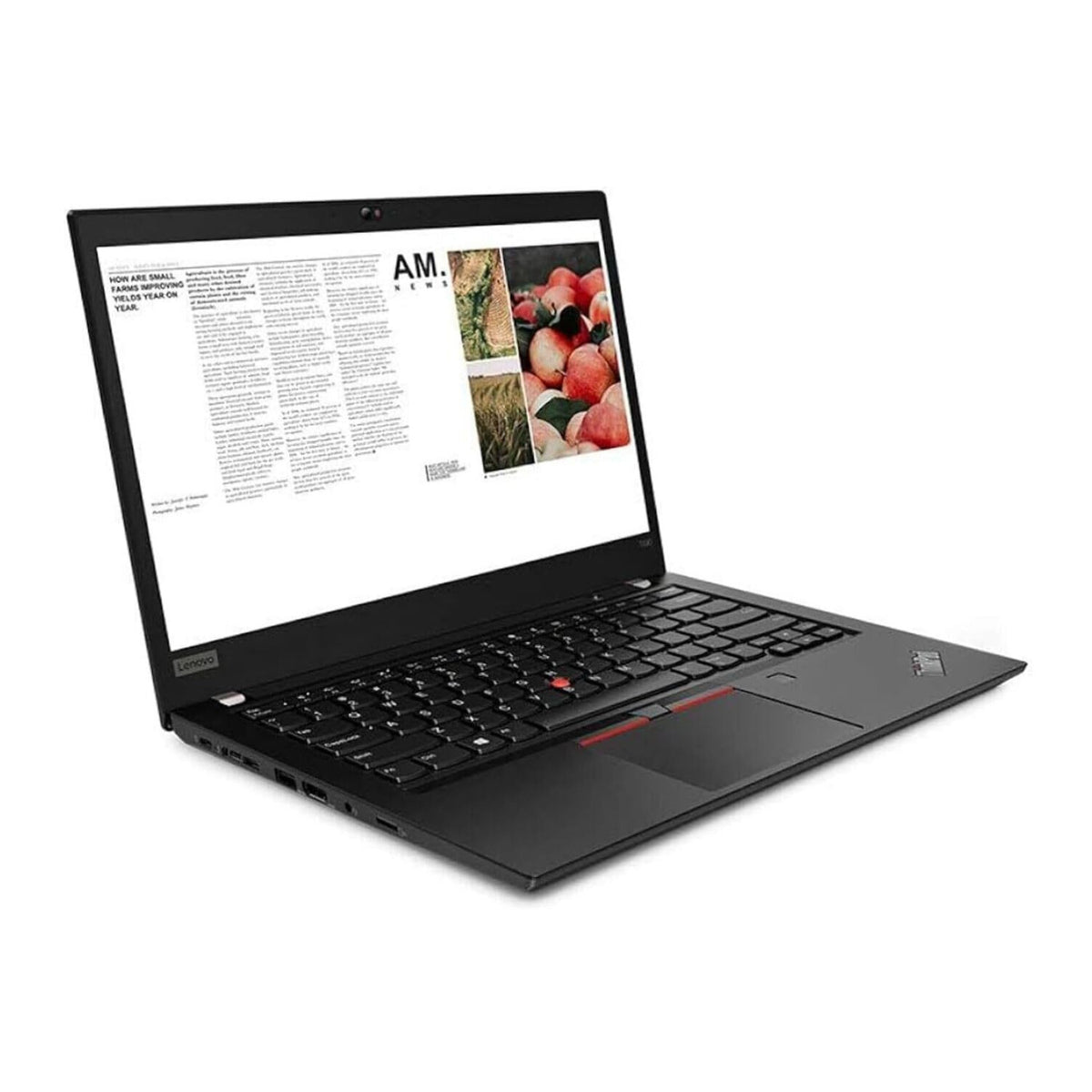 Lenovo ThinkPad T490 14-Inch Intel Core i5-8365U 16GB, 256GB SSD W11 Pro (Certified Refurbished)