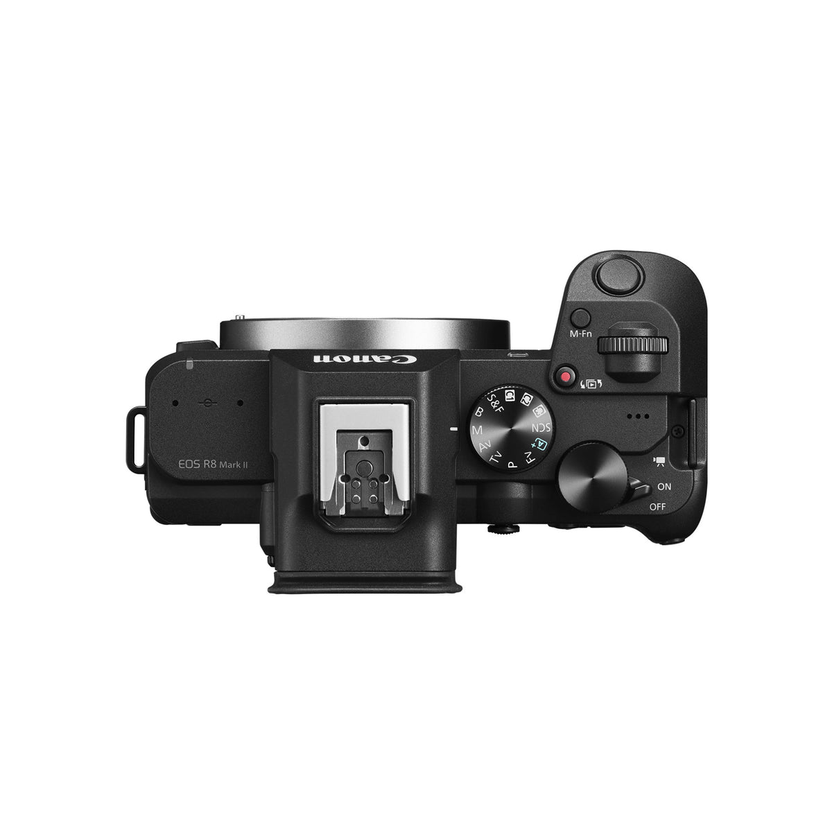 Canon EOS R8 Mark II Mirrorless Camera with RF 24-50mm f/4.5-6.3 IS STM Lens