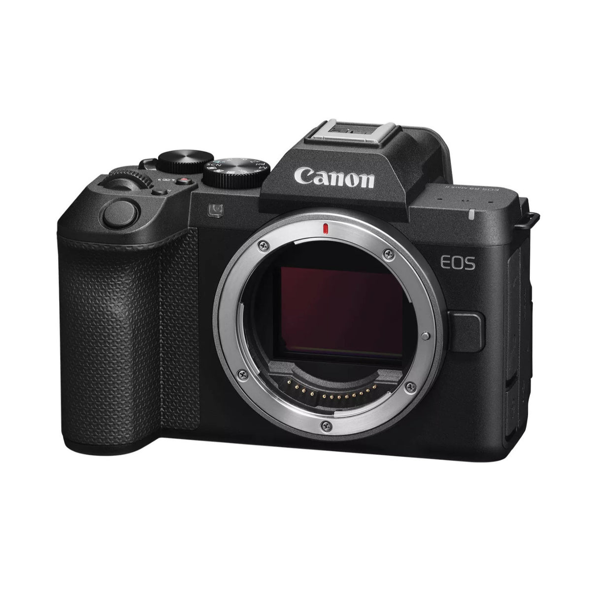 Canon EOS R8 Mark II 4K 24.2MP Full-Frame Mirrorless Digital Camera with In-Body Image Stabilization