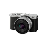 Panasonic LUMIX S 20mm f/2.5 Compact Full-Frame Lens, Silver (L-Mount)