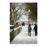 Kodak Ektacolor Pro 160 Daylight Color Negative Sheet Film 4 x 5 Inch, 10 Sheets