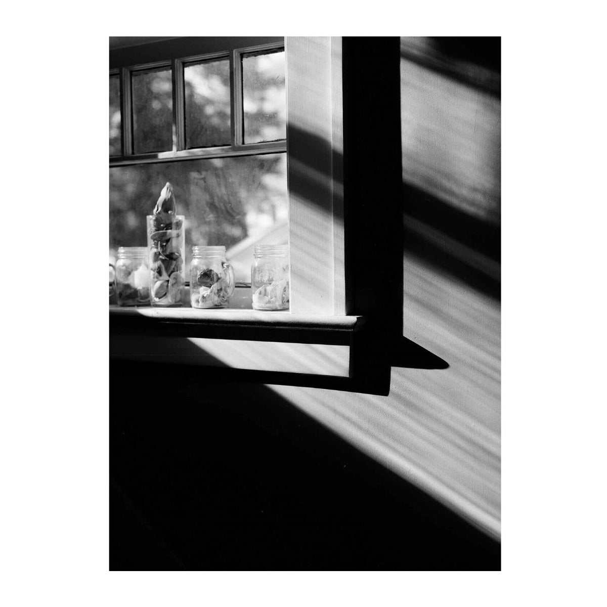 Kodak EKTAPAN 100 Black and White Negative Film (4 x 5 Inch, 10 Sheets)