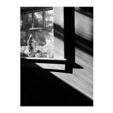 Kodak EKTAPAN 100 Black and White Negative Film (4 x 5 Inch, 10 Sheets)
