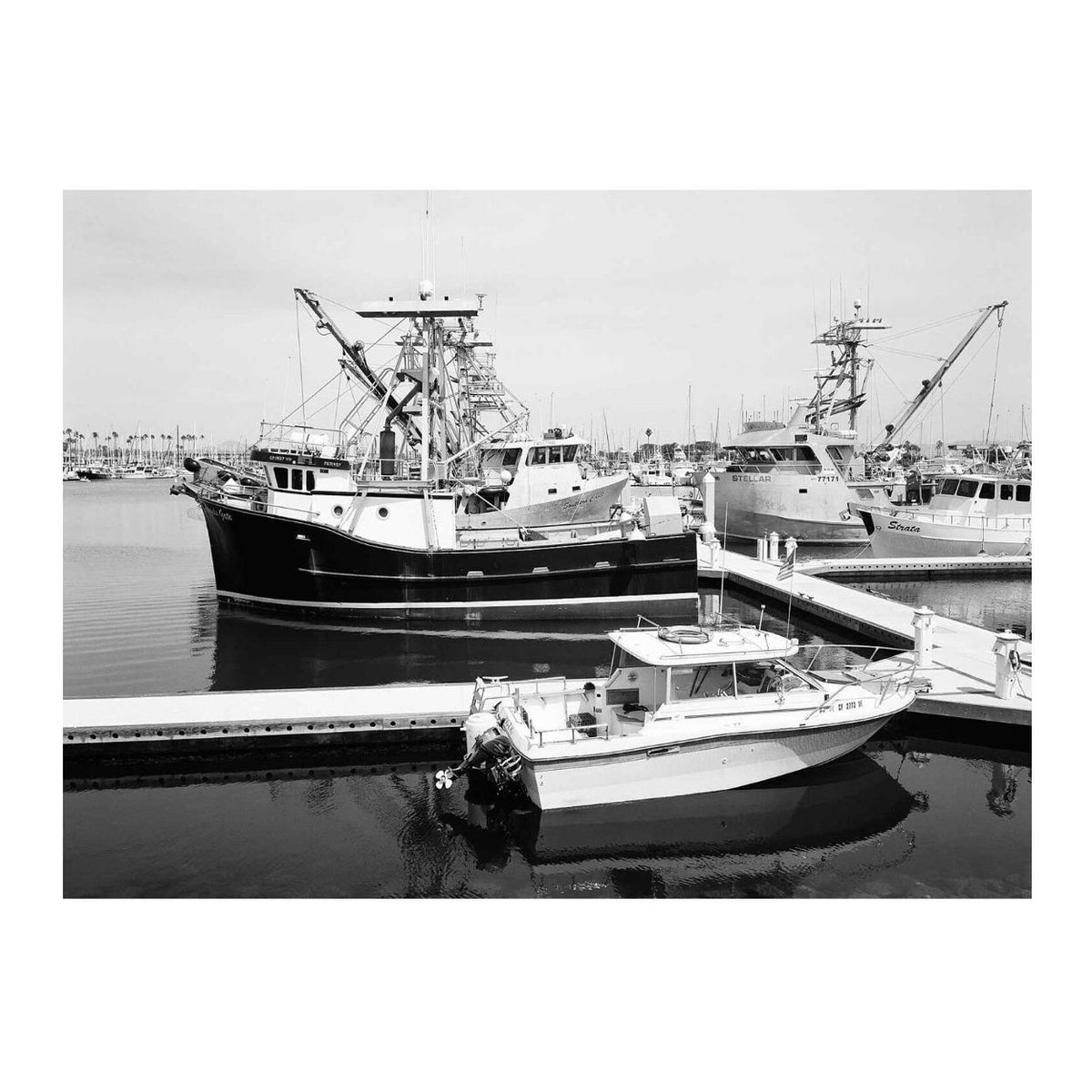 Kodak EKTAPAN 100 Black and White Negative Film (4 x 5 Inch, 10 Sheets)