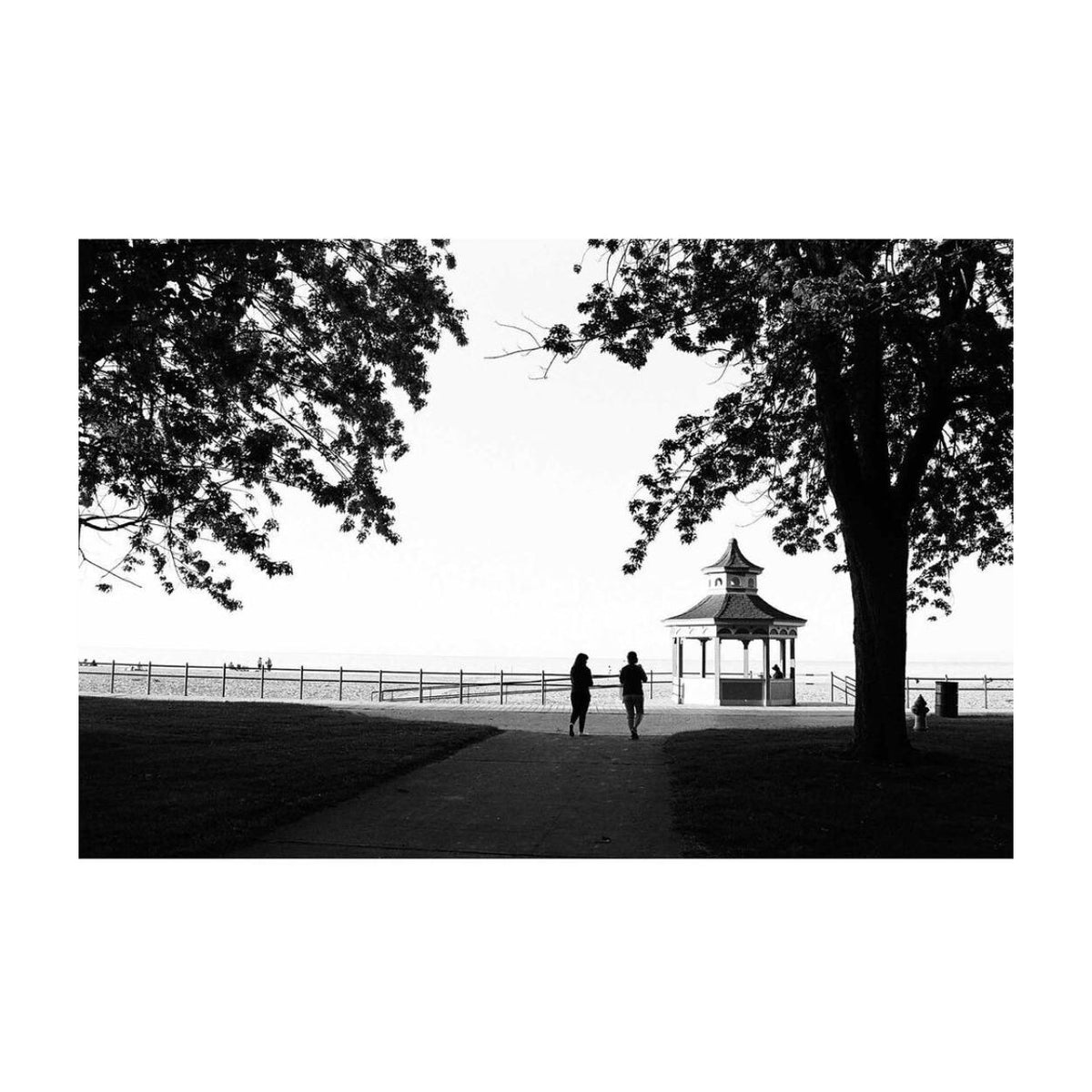 Kodak EKTAPAN 400 Black and White Negative Film (4 x 5 Inch, 10 Sheets)