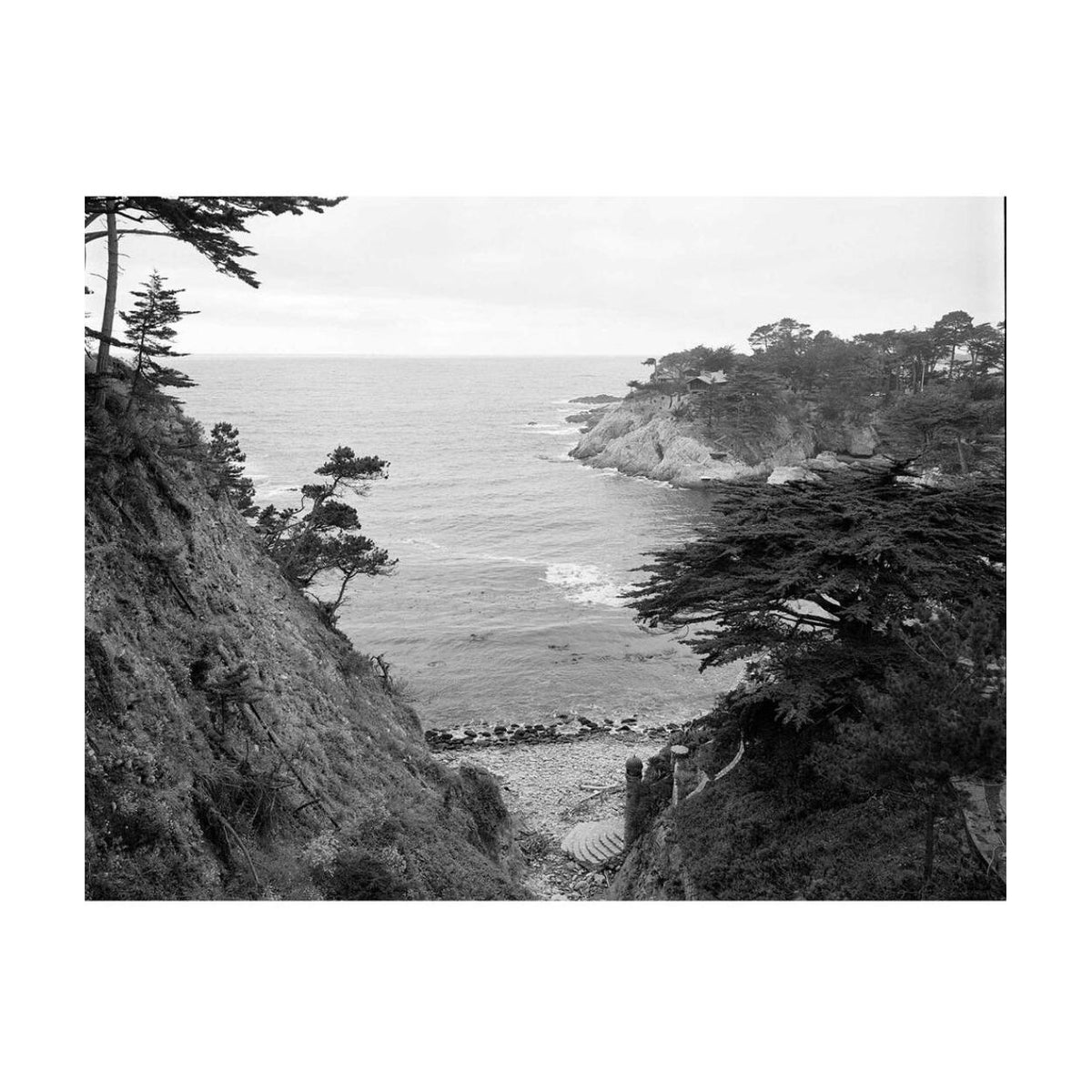 Kodak EKTAPAN 400 Black and White Negative Film (4 x 5 Inch, 10 Sheets)
