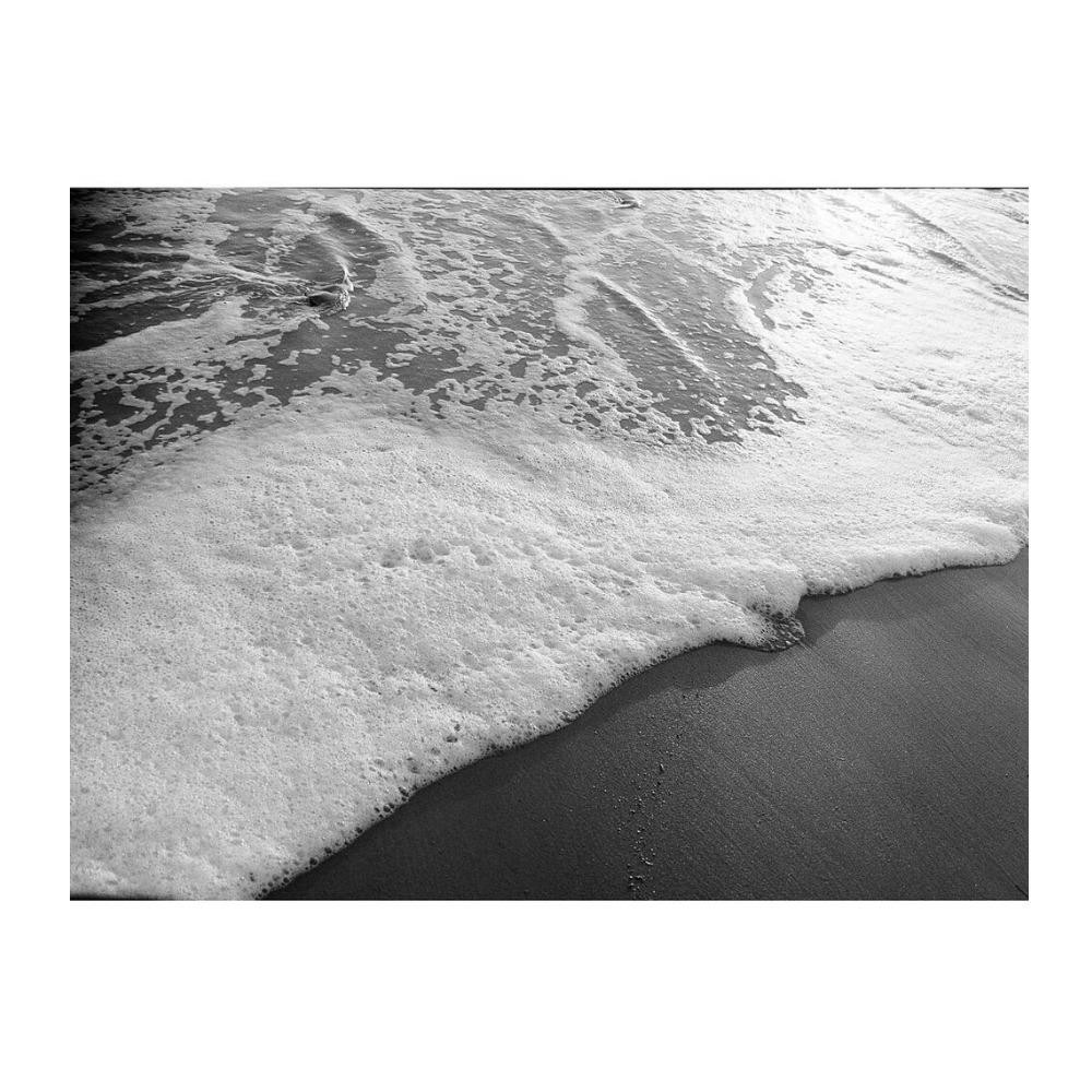Kodak Professional Tri-X 320 Black and White Negative Film (4 x 5 Inch, 10 Sheets)