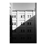 Kodak Professional Tri-X 320 Black and White Negative Film (4 x 5 Inch, 10 Sheets)