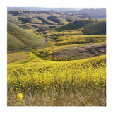 Kodak EKTAR 100 Color Negative Film (4 x 5 Inch, 10 Sheets)