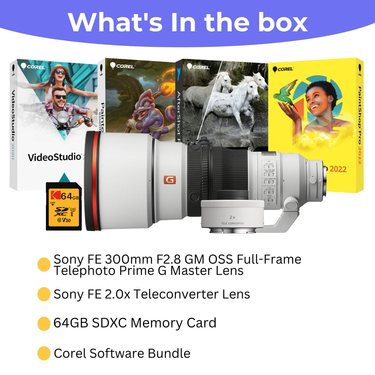 Sony FE 300mm F2.8 GM OSS Full-Frame Telephoto Prime G Master Lens with Teleconverter Lens Bundle