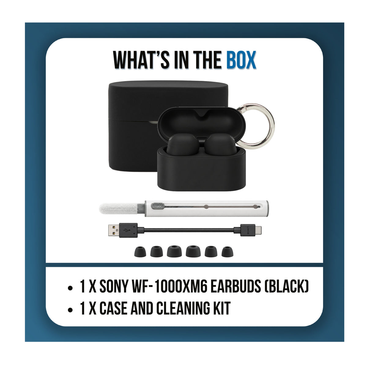 Sony WF-1000XM6 True Wireless Noise Cancelling Earbuds with Silicone Case and Cleaning Kit (Black)