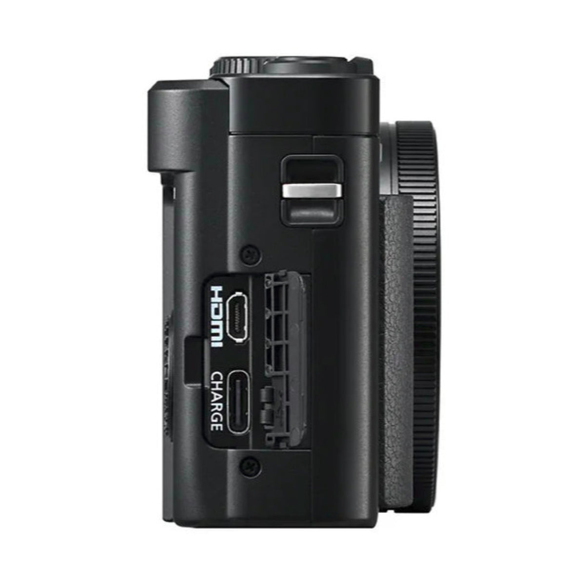 Panasonic LUMIX ZS99 30x Zoom Compact Point and Shoot Digital Camera with 24-720 mm Lens (Black)