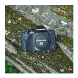 OM SYSTEM OM-D E-M10 MKIV Camera with SD Card, Bag and Accessories (Black)