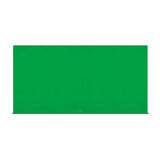 Westcott X-Drop Pro 16x8ft Wrinkle-Resistant Backdrop with Drawstring Bag (Chroma Green)