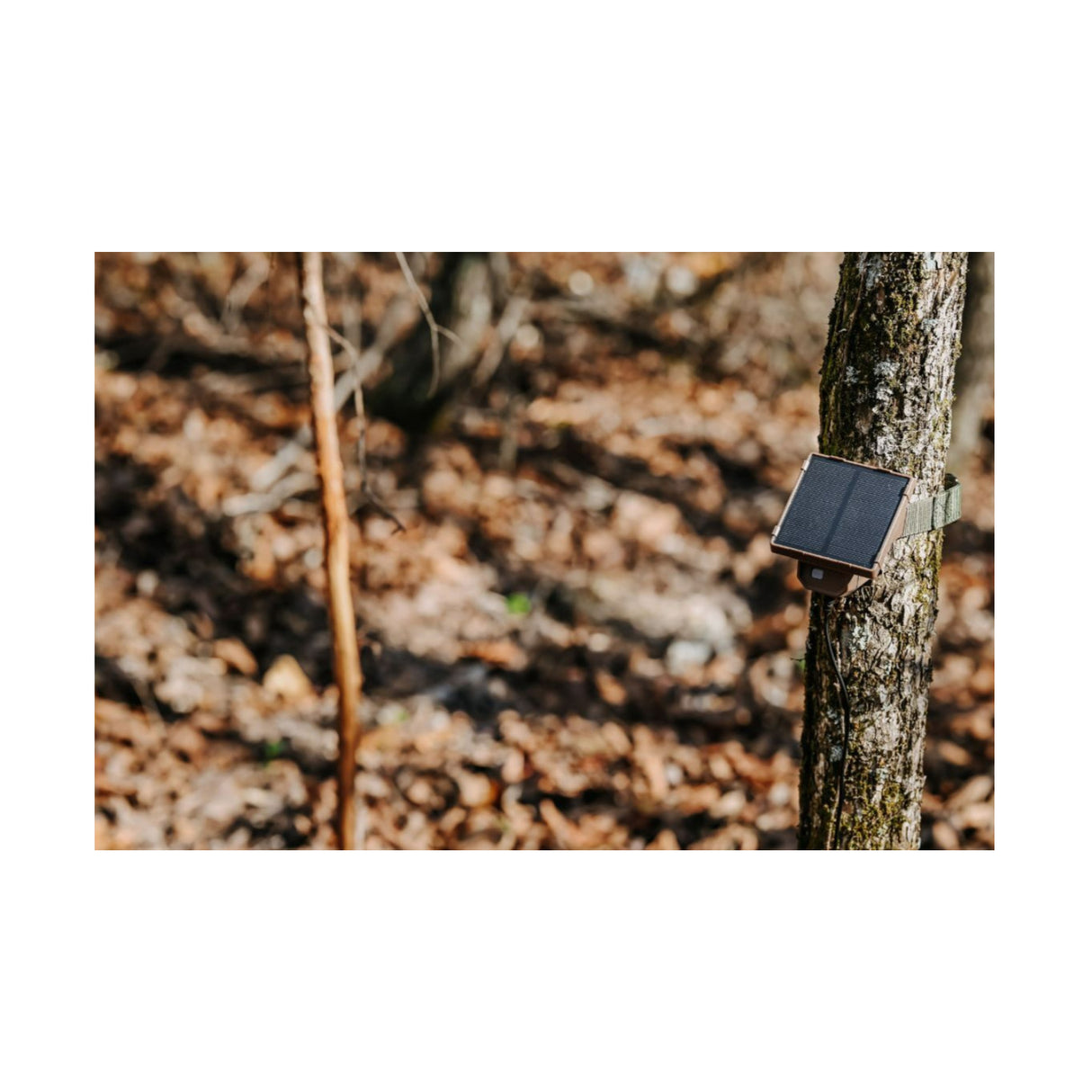 Browning Trail Camera Defender Wireless Pro Scout Max HD-DV with Solar Power Pack and Accessories - 7