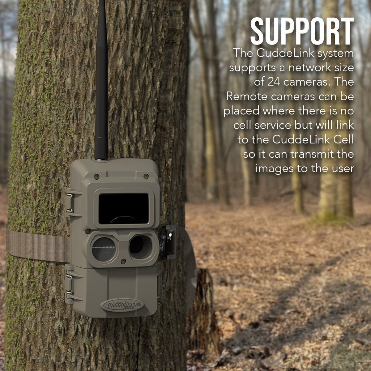 Cuddeback CuddeLink 2+1 Starter Kit with Cell Home and IR Remote Cameras Bundle