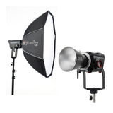 Aputure STORM 400x Tunable LED Monolight (Gold Mount) with Octagonal Softbox - 1
