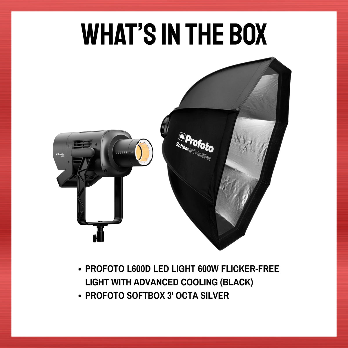 Profoto L600D LED Light 600W Flicker-Free Light with Softbox 3 ft. Octa Silver