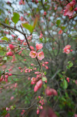 Sigma 16-28mm F2.8 DG DN Lens Sample Image