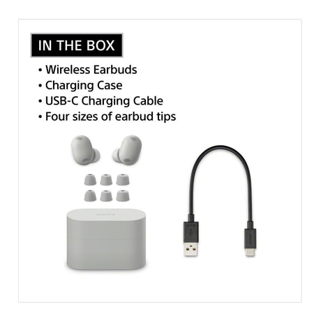 Sony WF-1000XM6 Wireless Earbuds (Platinum Silver) with 3in1 Portable Accessory - 8