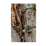 Browning Trail Camera Defender Wireless Pro Scout Max HD-DV with Solar Power Pack and Accessories - 5