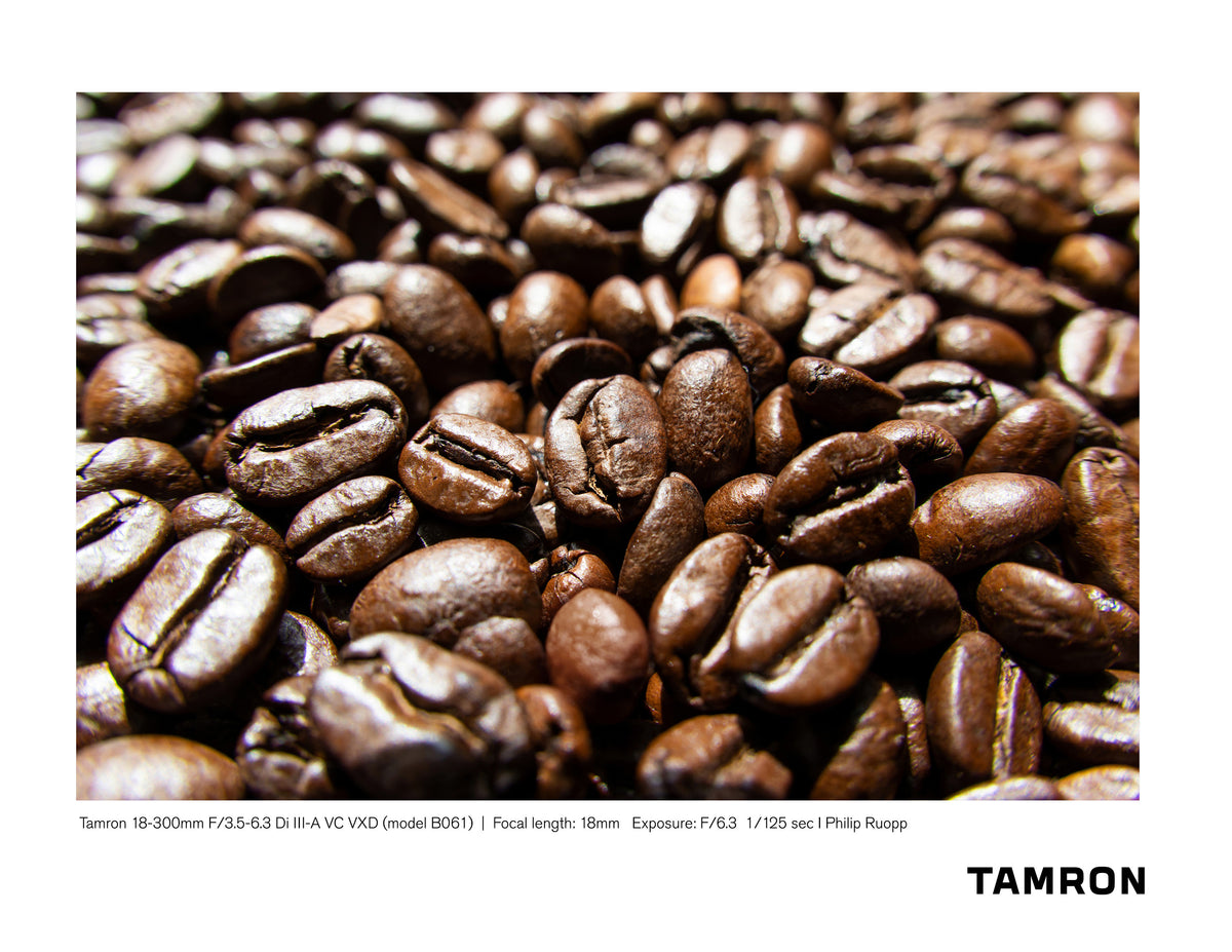 Tamron 18-300mm F/3.5-6.3 Di III-A VC VXD (Sony E-mount) Sample Photo