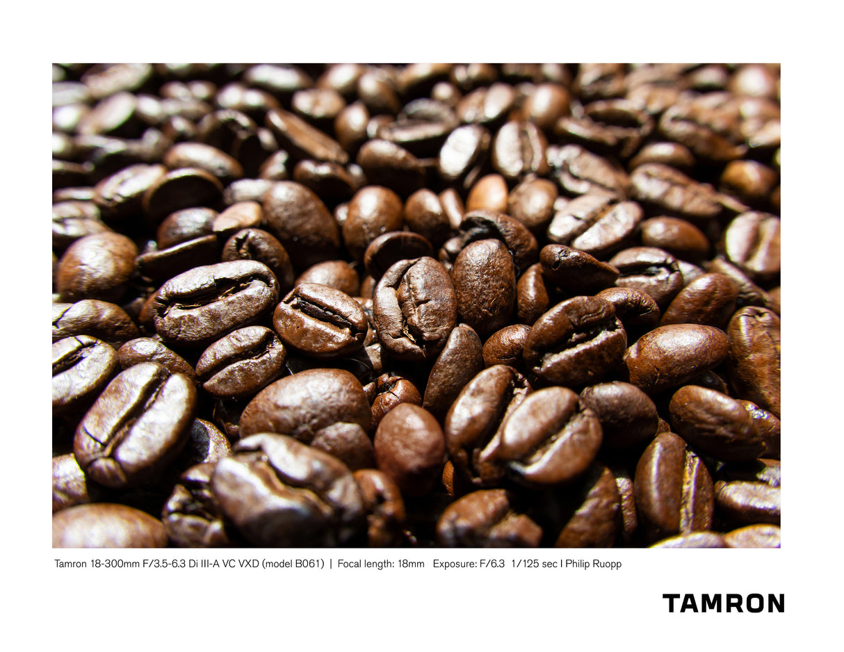 Tamron 18-300mm F/3.5-6.3 Di III-A VC VXD (Sony E-mount) Sample Photo