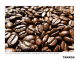 Tamron 18-300mm F/3.5-6.3 Di III-A VC VXD (Sony E-mount) Sample Photo
