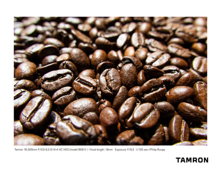Tamron 18-300mm F/3.5-6.3 Di III-A VC VXD (Sony E-mount) Sample Photo
