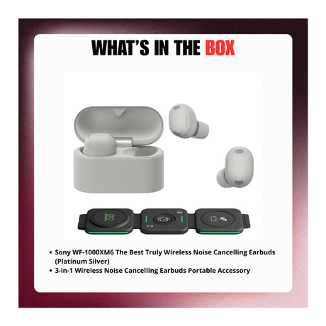 Sony WF-1000XM6 Wireless Earbuds (Platinum Silver) with 3in1 Portable Accessory - 9