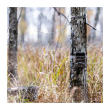 Yellowstone Y2 Black Wide Lens Trail Camera Bundle with High-Speed Card Reader, and Accessories - 8