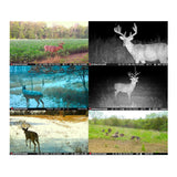 Stealth Cam Deceptor Dual Network Trail Camera (2 Pack) Bundle with 32GB Memory Card & Card Reader - 7