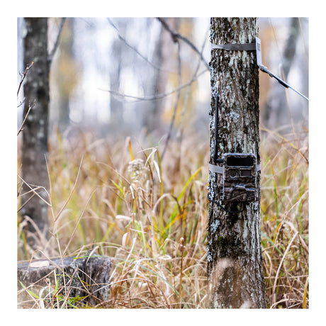 Yellowstone Y2 Cellular Trail Camera Bundle with High-Speed Card Reader, and Accessories (10-Pack) - 7